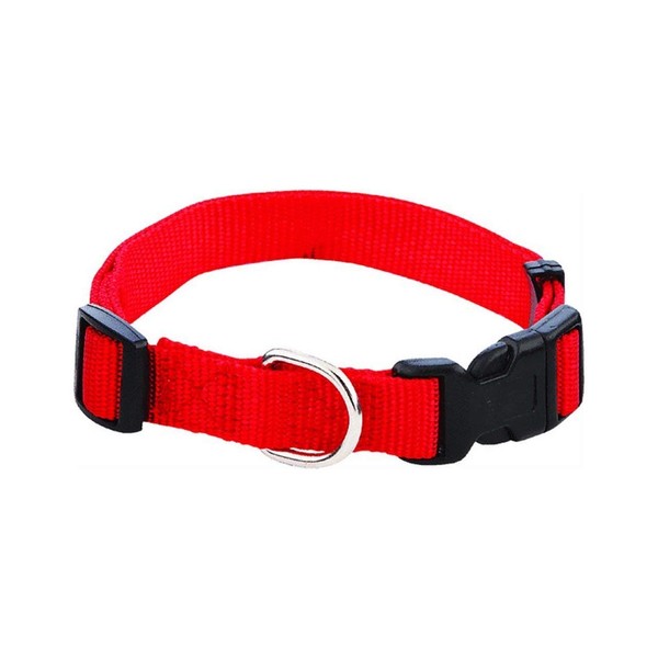 Westminster Pet Nylon Collar, 3/4" x 14"-20"