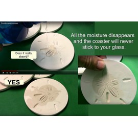 Absorbent Palmetto & Moon Drink Coaster set Handmade by McCarter Coasters for Beach House, Tabletop Protection, House Warming - Hot or Cold Beverages 4.38" Off-White (4pc)