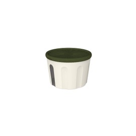BIESSE CASA T 120/31 Tumbler Airtight Food Container, Plastic, 1.5 Litres, Green
