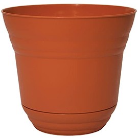 Robert Allen Home and Garden, Tango Color Robert Allen PIM01215 Traverse Flower Pot Planter, 12-Inch, Colo, 12 Inch