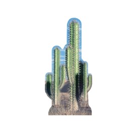 Cardboard People Cacti Life Size Cardboard Cutout Standup
