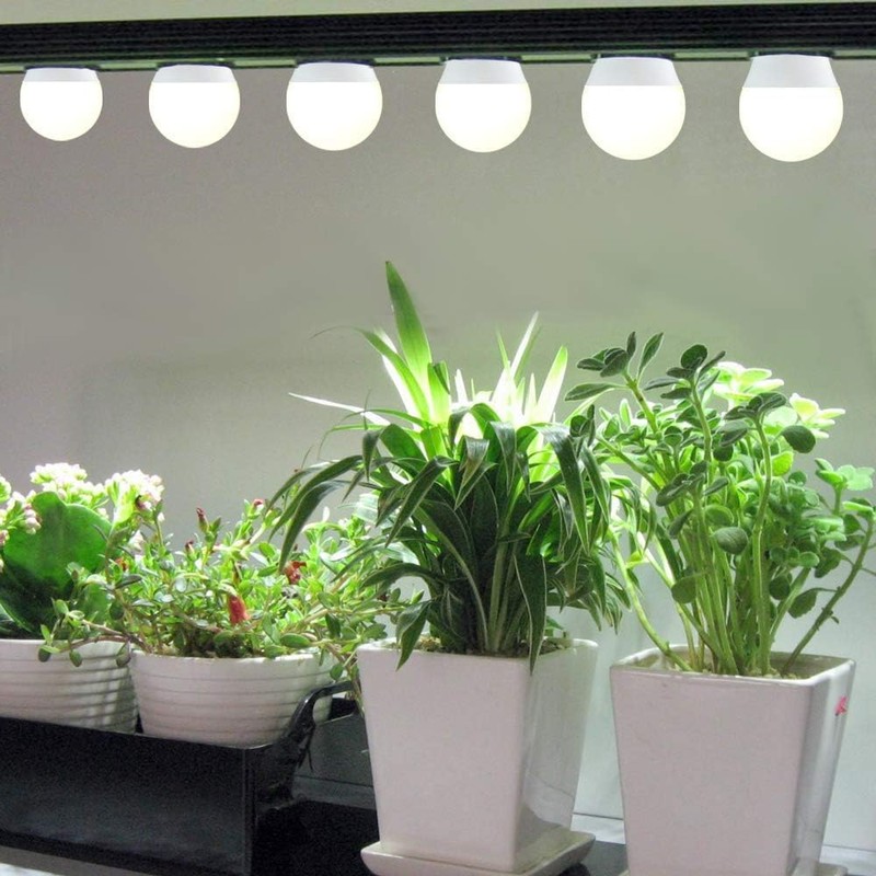 Wiyifada 6 Pack Full Spectrum Grow Light Bulbs,A19 Grow Lights