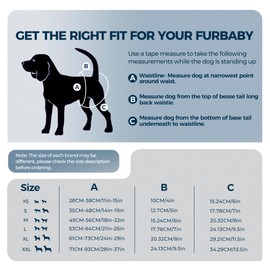 3er-Pack Windeln für Hündinnen, Wiederverwendbare Windeln für läufige Hündinnen, hochsaugfähige Hundewindeln für Hündinnen bei Inkontinenz mit verstellbaren (GANZ SCHWARZ, S, stück, 3)