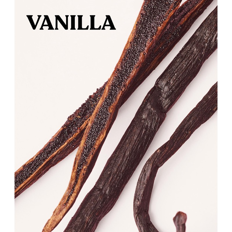 Victoria's Secret PINK Body Lotion, Vanilla 12 oz