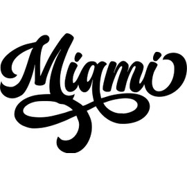 SEC Apparel Miami Iron On Patches Decals Transfers Applique Letters for t Shirts Fabric Clothing | Kids and Adult Sizes | Black, White, Navy, Gold, Glitters and More