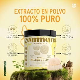 Hongo Melena de Leon - Extracto Puro en Polvo 100 gr - Más de 5 Meses de Suministro - Suplemento Natural - Hongos Adaptógenos - Cuerpo Frutífero - Lions Mane de Máxima Calidad - 100% Orgánico