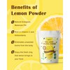 ORGFUN Original Lemon Powder, Freeze Dried Lemon Juice Powder, Great