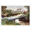 Thelwell's Sporting Prints Greeting Card Multipack