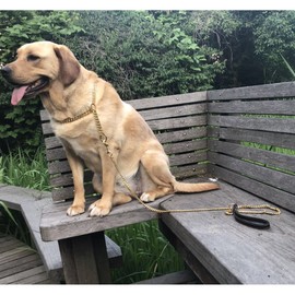 Abaxaca 4ft Dog Leash Metal Long 18K Gold Chew Proof Indestructible Cool Best Leash Chain Link for Pet Durable Large with Leather Handle