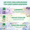 Air Wick Freshmatic Otomatik Sprey & Bahar Çiçekleri Yedek Sprey