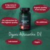 Vegavero Vegavero Organic Astaxanthin 8 mg | Natural Antioxidant Supplements