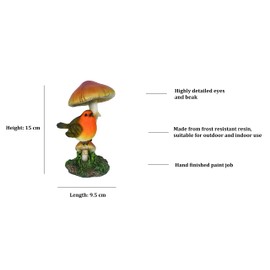Vivid Arts - Brown and Red Robin on Toadstool Home or Garden Decoration (BG-RB03-F)