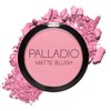 Palladio Matte Blush Rubor Mate Berry Pink 0.21 oz