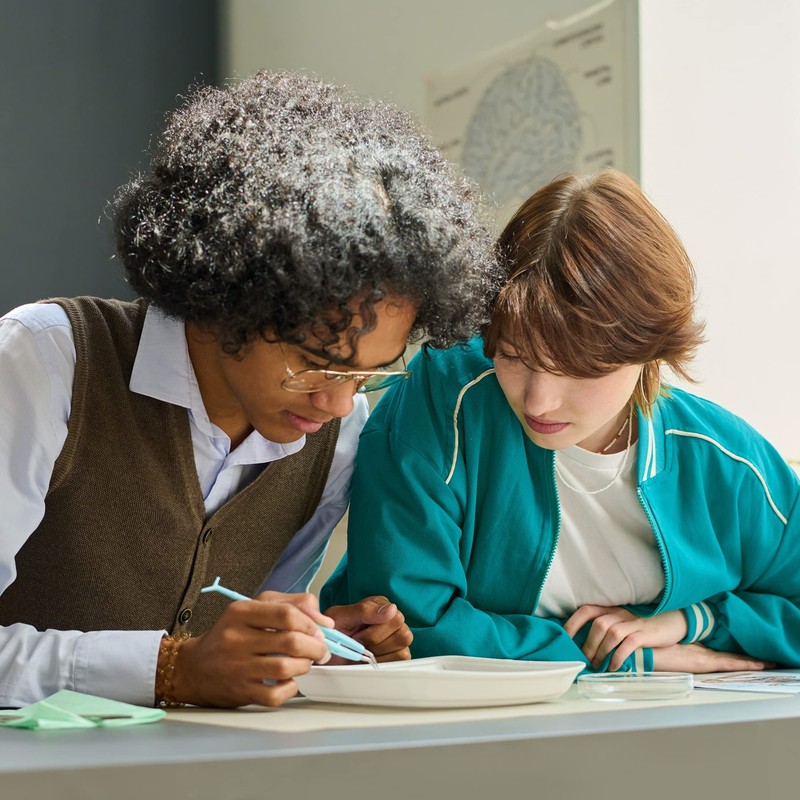 The Muscular System Anatomical Chart Laminated , Nursery