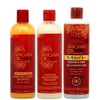 Argan Oil from Morocco Sulfate Free Moisture & Shine Shampoo,