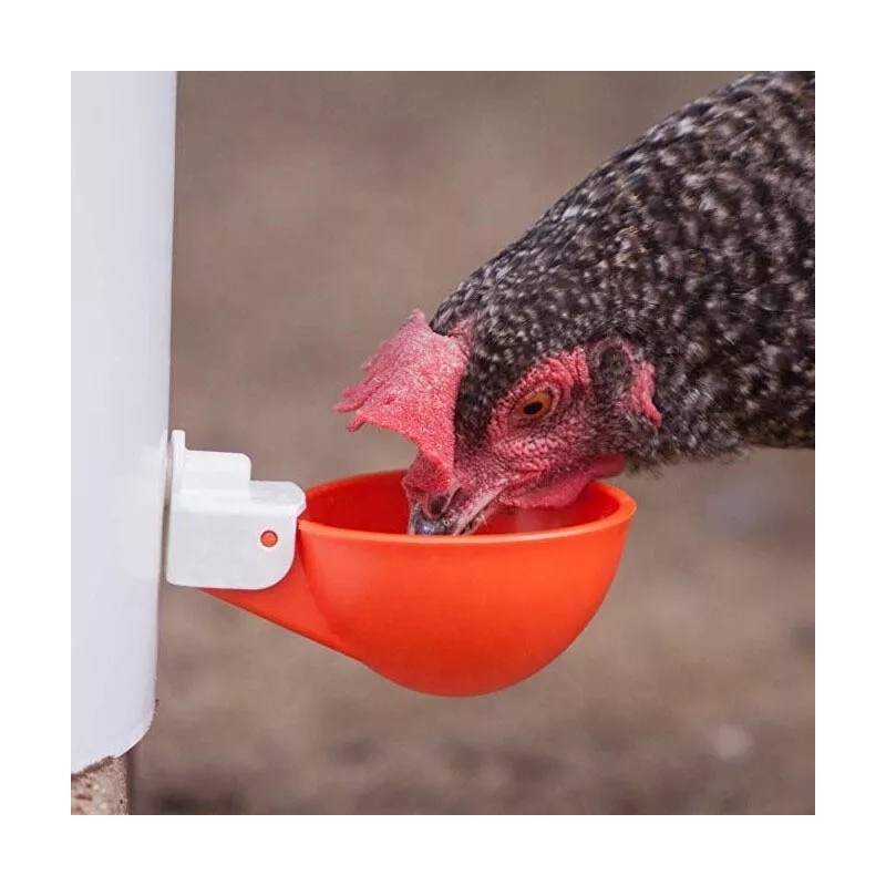 Phoenix 4 Chicken Automatic Watering Cups Poultry Drinker Waterer Chicken