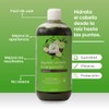 Shampoo De Alquitrán Y Bergamota Anti-Caspa Productos Mart Mexico 500