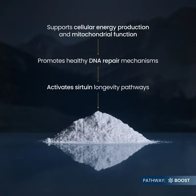 Pure NMN Powder (Nicotinamide Mononucleotide) – 6-Month Supply – Dietary