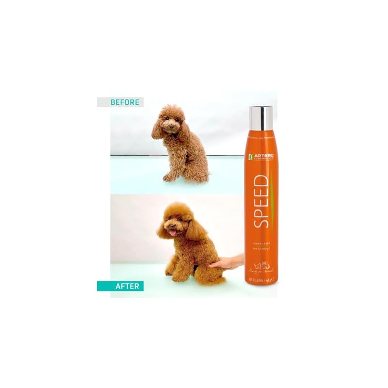 Shampoo de Secado Rápido ARTERO 168g