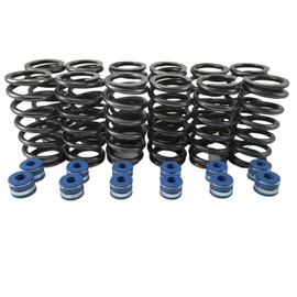 Fits Cummins 6BT 12V Dodge +60 lbs Valve Springs + Viton Seals - Set of 12 - NEW