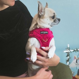 Fluffy Tailers Pretty in Pink Velvet No Pull Adjustable Dog Harness with Breathable Chest Strap for Small, Medium & Teacup Sized Dogs - Comfortable, Stylish & Safe