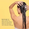 milk_shake Color Maintainer Shampoo, 33.8 fl. oz.