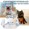 French Bulldog Cool Vest Dog Ice Pack Vest for Heatstroke