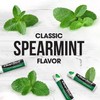 ChapStick Bulk Lip Balm, Classic Spearmint 12-Pack – Cool &