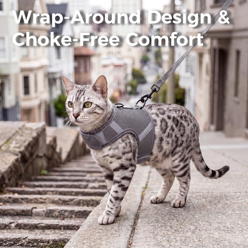 pangdi Cat Harness and Leash Set, No Over-the-Head Cat Vest,