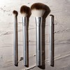 ECOTOOLS, Precious Metals Cheek + Eye Highlight Brush Set, Kit
