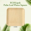 ECOLipak 6 Inch Compostable Palm Leaf Plate Like Bamboo Plate,