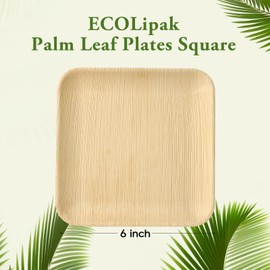 ECOLipak 6 Inch Compostable Palm Leaf Plate Like Bamboo Plate, 50 Pack Disposable Biodegradable Plates Suitable for Party, Dinner