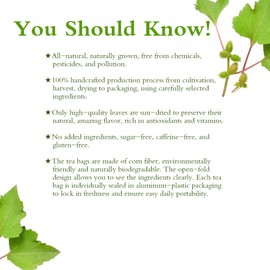 Soilmount 100% Natural Cocklebur Tea, Dried Cocklebur, Xanthium Strumarium, Chinese Herba, Decaffeinated Loose Leaf Tea, (苍耳/Canger/도꼬마리/Do Cco Ma Ri) Caffeine-Free, 18 Bleach-Free Tea Bags