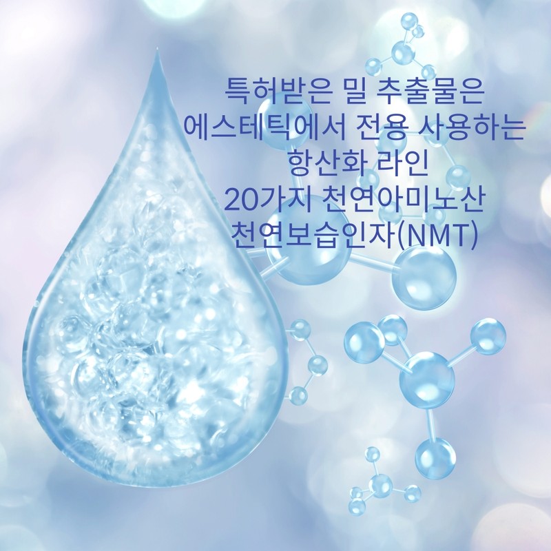 Popo Korea sleeping pack 180g natural moisturizing antioxidant wash-off pack