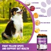 Grass Burn Spot Chews for Dogs 200 Count, Cranberry for