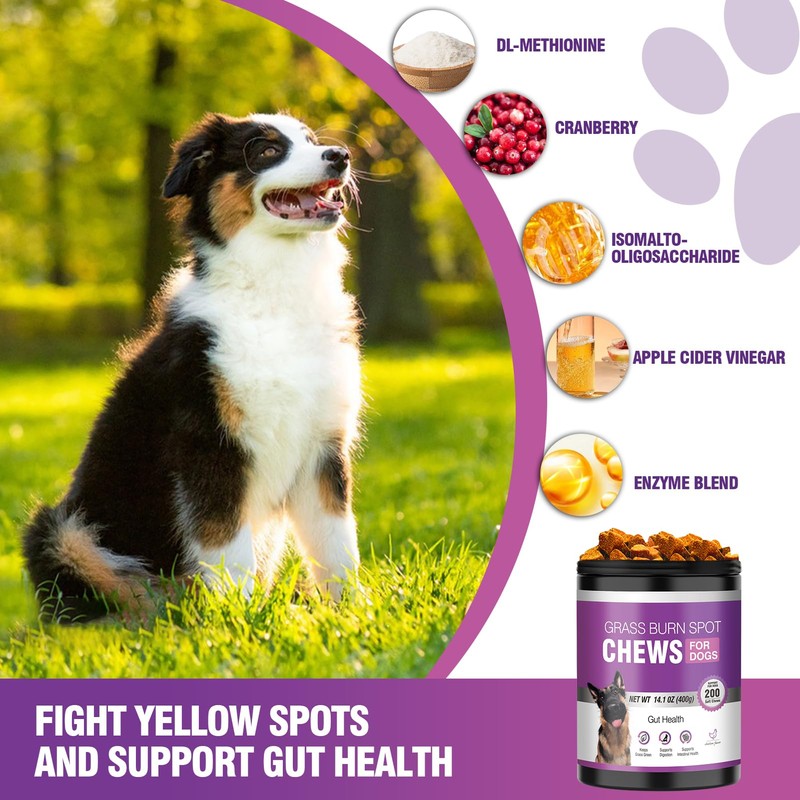 Grass Burn Spot Chews for Dogs 200 Count, Cranberry for