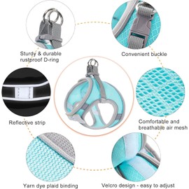 Dog Harness with Leash Set, Step-in Breathable Puppy Cat Dog Vest Harnesses, No Pull Adjustable Reflective Puppy Harness with Soft Padded Vest for Extra-Small/Small Medium Large Dogs and Cats
