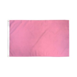 Pink Solid Color Flag 2x3ft Poly