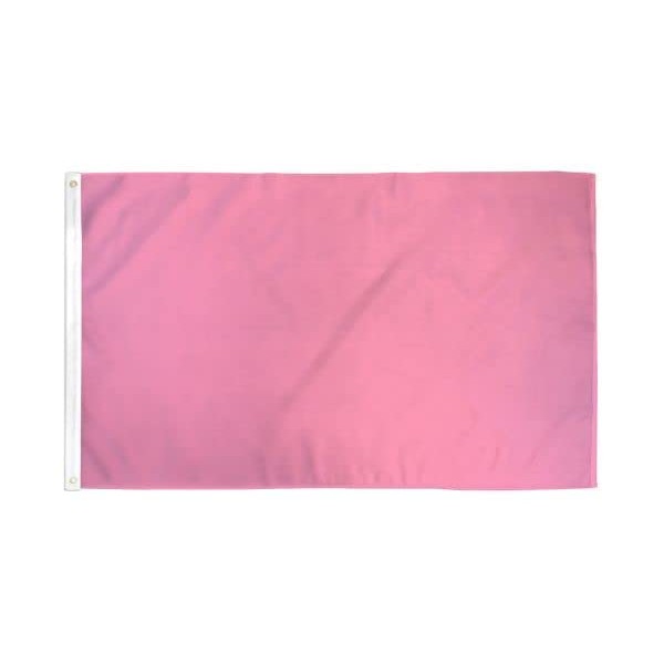 Pink Solid Color Flag 2x3ft Poly