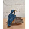 Vivid Arts Kingfisher on Driftwood Home or Garden Decoration (BG-KF08-F)