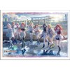 Bushiroad Sleeve Collection High-Grade Vol. 4764 "Academy Idol Master"