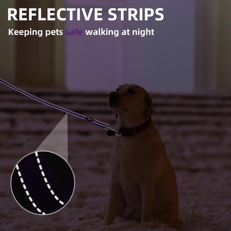 PUPTECK Reflective Dog Leash with Comfortable Padded Handle Durable Nylon