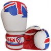 Farabi Boxing Gloves Kids Junior Flag Series Training Bag Pads