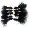 Fly Fishing WOOLLY BUGGER SET Beadhead and Non beadhead LURES/STREAMERS