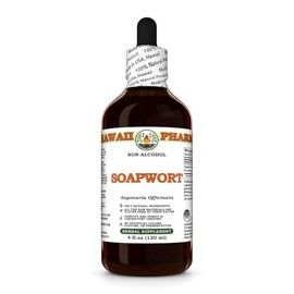 Soapwort (Saponaria Officinalis) Dry Root Glycerite, Made in Hawaii, All Natural, Vegan, Lab Tested Alcohol-Free Liquid Extract - 4 fl.oz