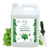 Minty Spider Repellent, Natural 5% Peppermint Oil Spray, Kills &