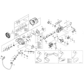 DAIWA Genuine Part 18 Frems LT3000 Spool Part Number 6 Part Code 6Q381901