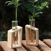 BESPORTBLE Clear Test Tubes for Plant Propagation Station, 4Pcs Glass