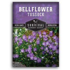 Tussock Bellflower Seed for Planting - 1 Packet with Instructions to Plant and Grow Campanula carpatica in Your Home Flower Garden - Non-GMO Heirloom Variety - Survival Garden Seeds