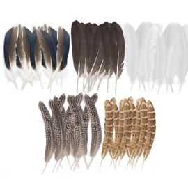 50 Pcs Craft Feathers Decorations, Brown Pheasant Feathers, Speckled Craft Feathers, Natural Pheasant Feathers for Crafting Hat Floral DIY Home Party Wedding Performance Supplies